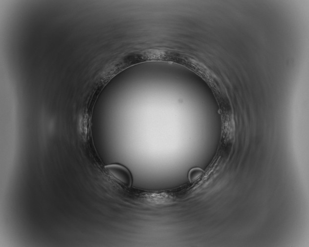 X0000100310525200806051459