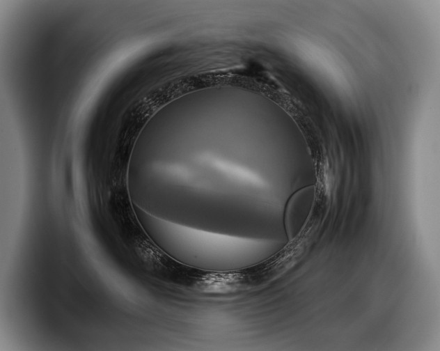 X0000100310526200806051459