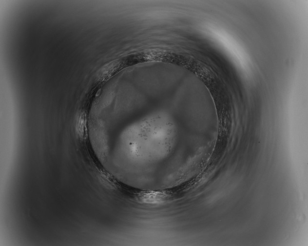 X0000100310527200806051459
