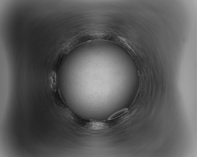 X0000100310528200806051459