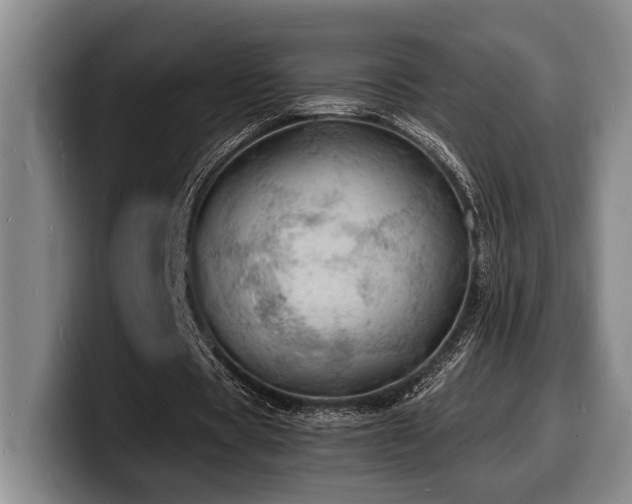 X0000100310529200806051458