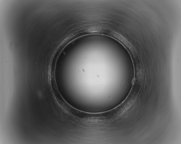 X0000100310530200806051458
