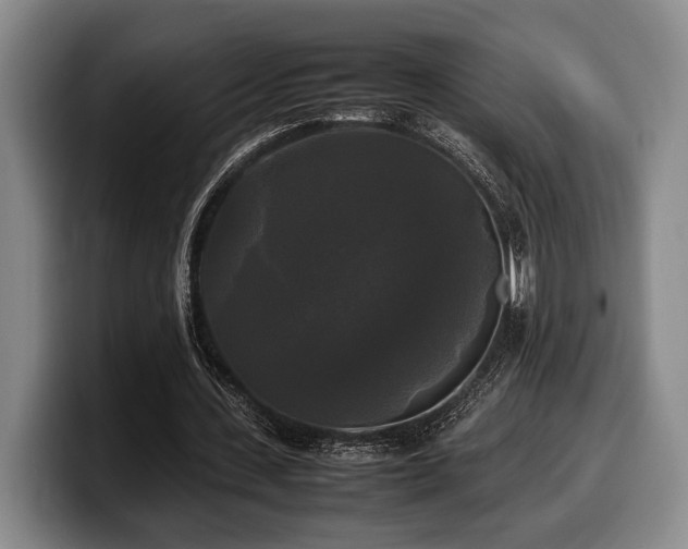 X0000100310531200806051458