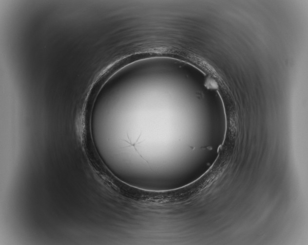 X0000100310532200806051458