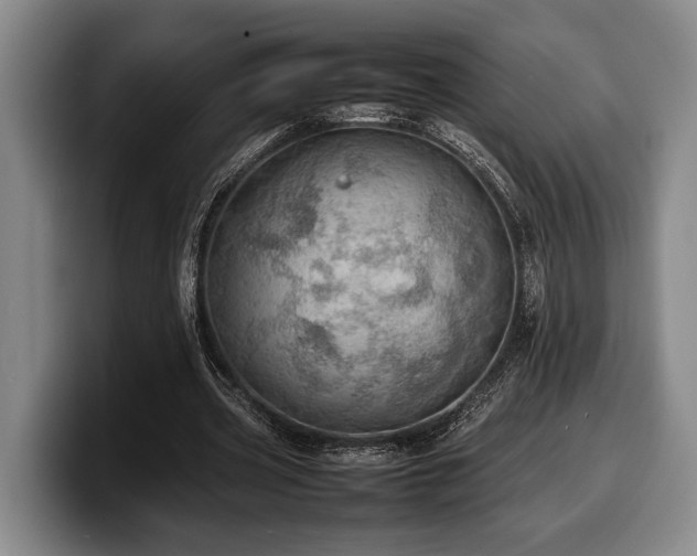 X0000100310533200806051458