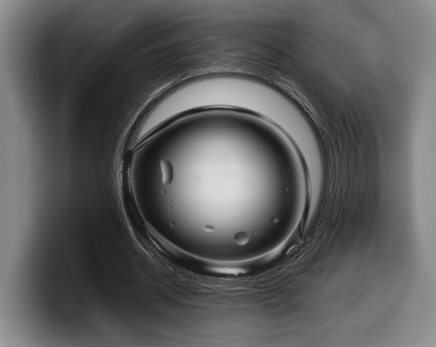 X0000100310534200806051458