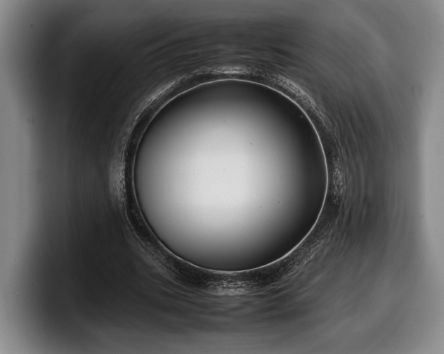 X0000100310535200806051458