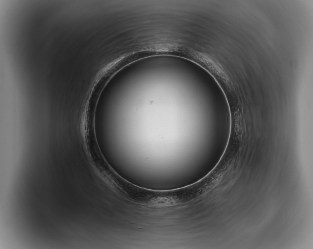X0000100310536200806051458