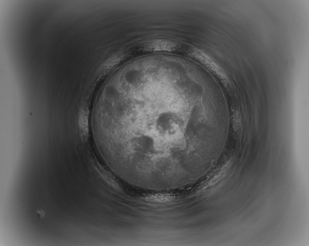 X0000100310537200806051458