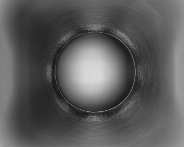 X0000100310538200806051458