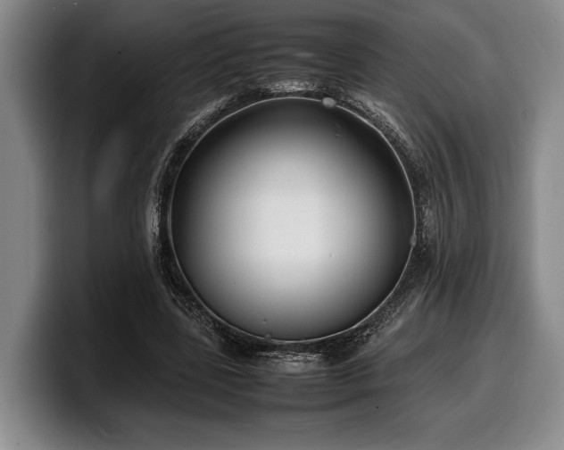 X0000100310539200806051458