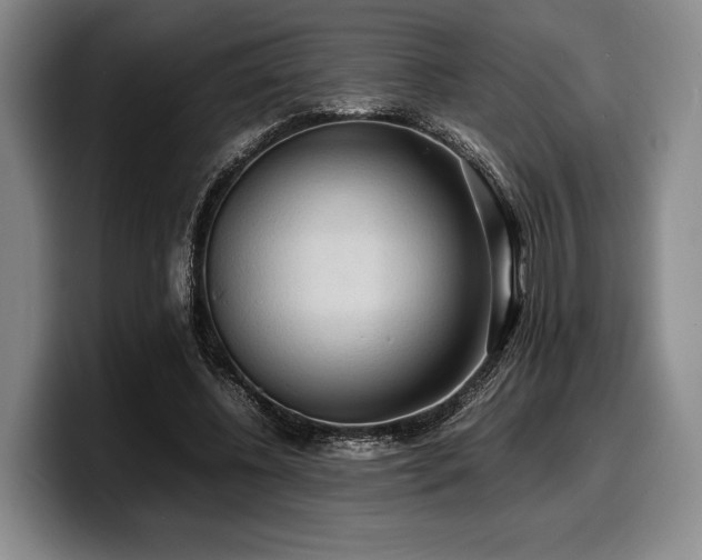 X0000100310540200806051458