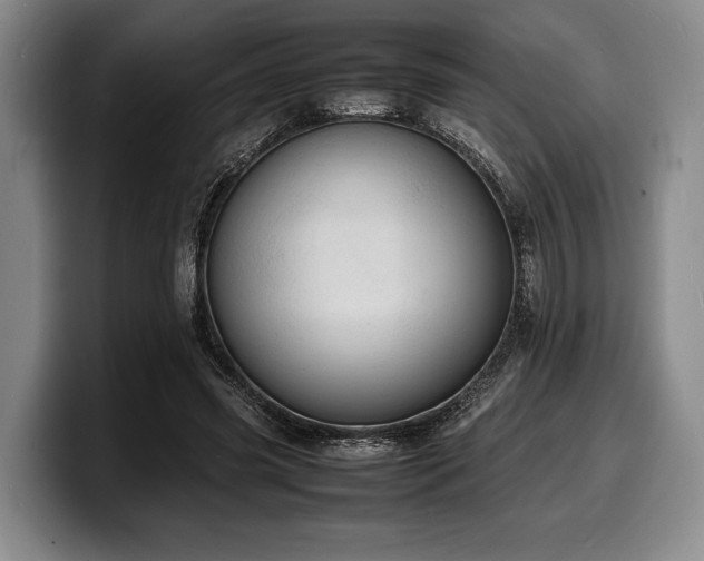 X0000100310541200806051458