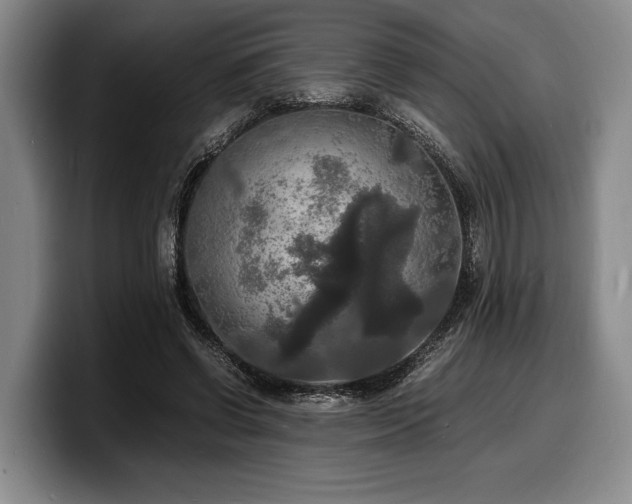 X0000100310542200806051458