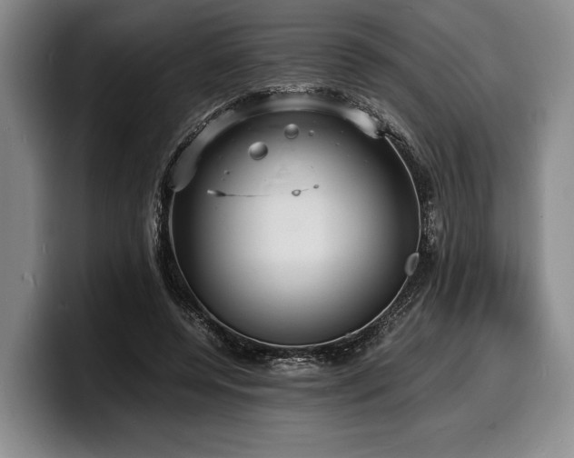 X0000100310544200806051458