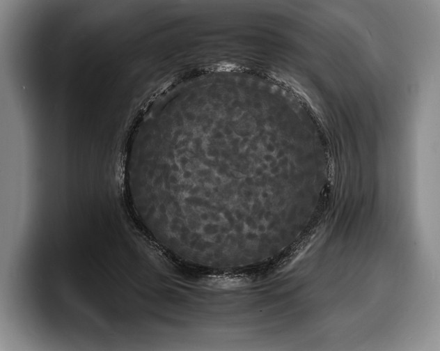 X0000100310545200806051458