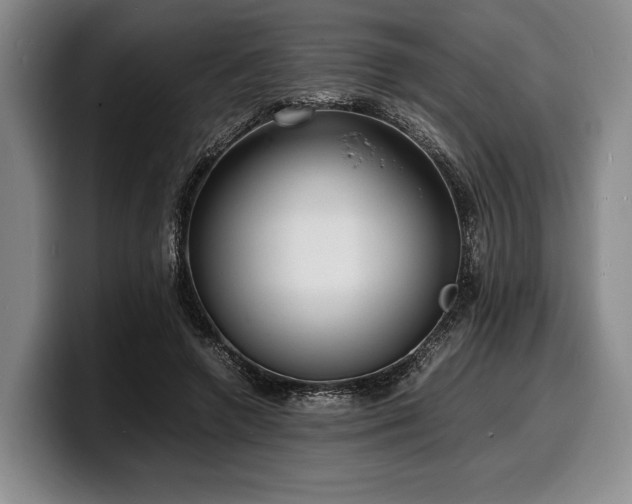 X0000100310546200806051458