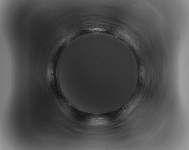 X0000100310547200806051458