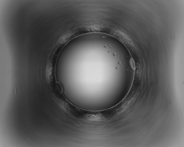 X0000100310548200806051458