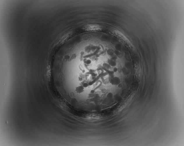 X0000100310549200806051458