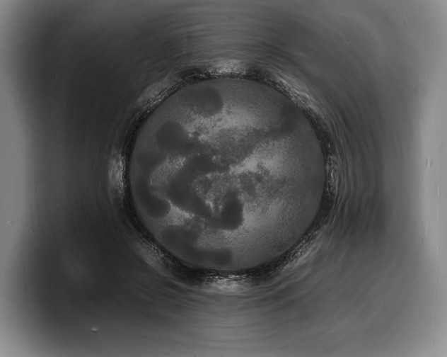 X0000100310550200806051458