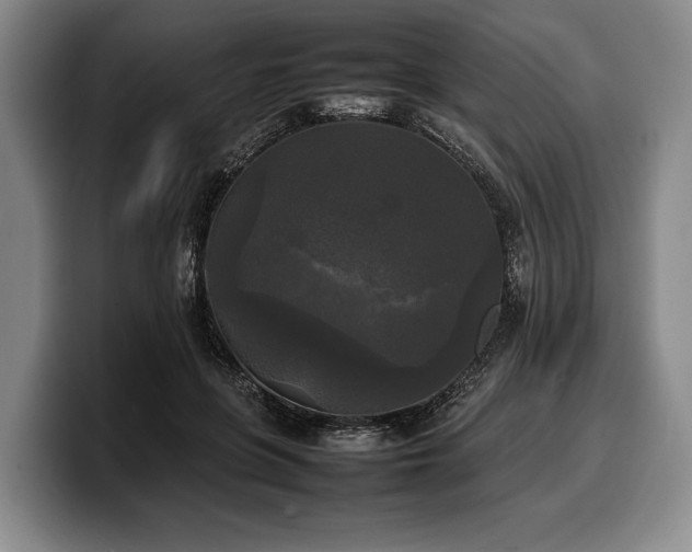 X0000100310551200806051458
