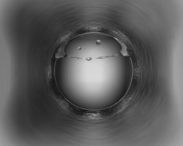 X0000100310552200806051458