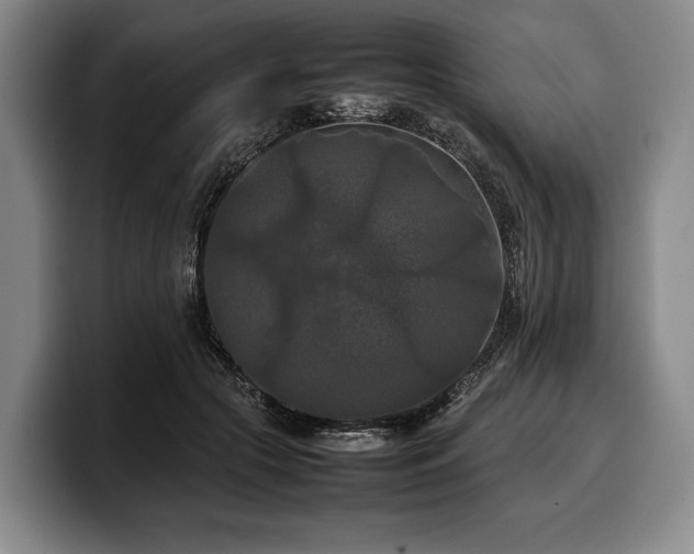 X0000100310553200806051458