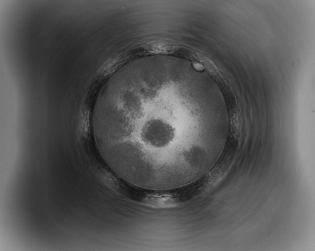 X0000100310554200806051458