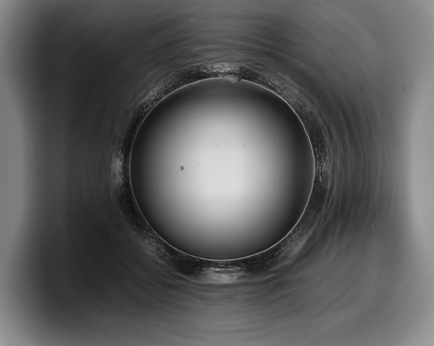 X0000100310556200806051458