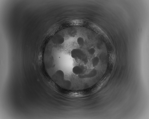 X0000100310557200806051458