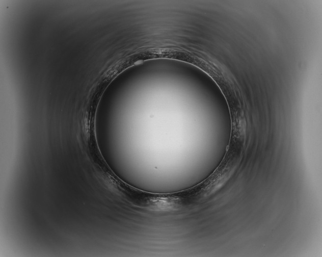 X0000100310558200806051458