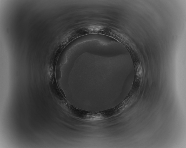 X0000100310559200806051458