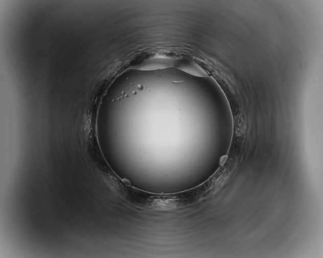 X0000100310560200806051458