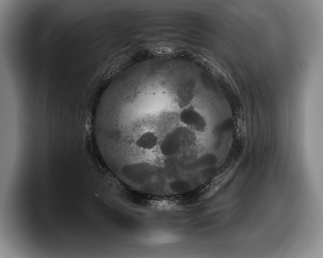 X0000100310561200806051458
