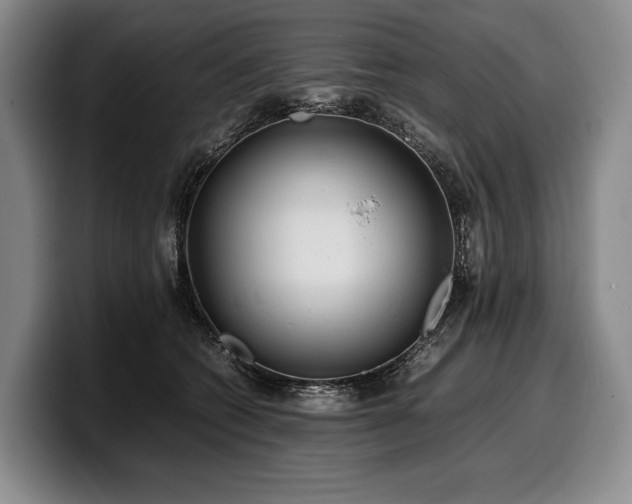 X0000100310562200806051458
