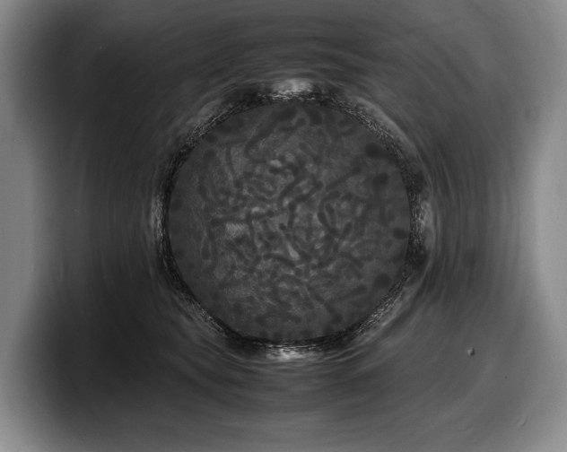 X0000100310565200806051458