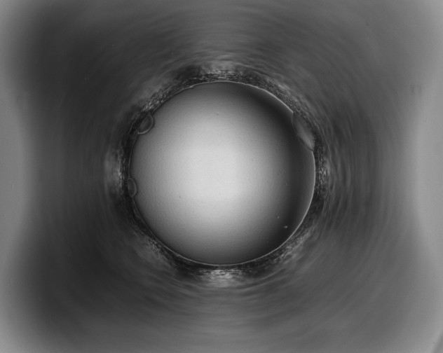 X0000100310566200806051458