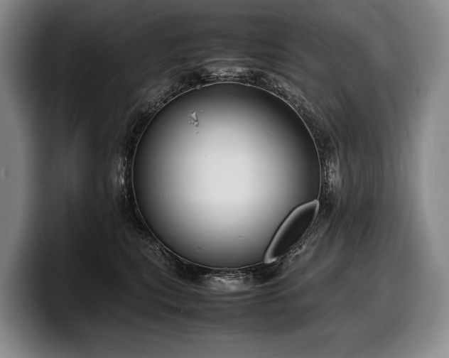 X0000100310567200806051458