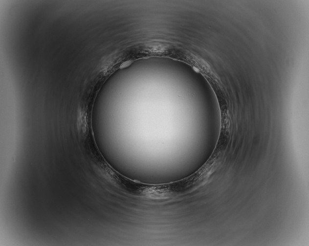 X0000100310568200806051458