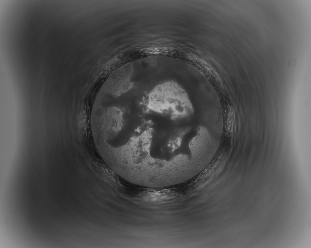 X0000100310569200806051458