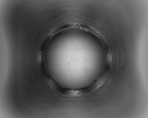 X0000100310570200806051458