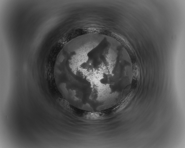 X0000100310573200806051458