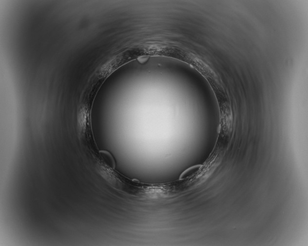 X0000100310574200806051458