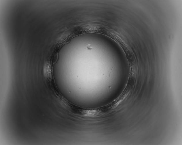 X0000100310575200806051459
