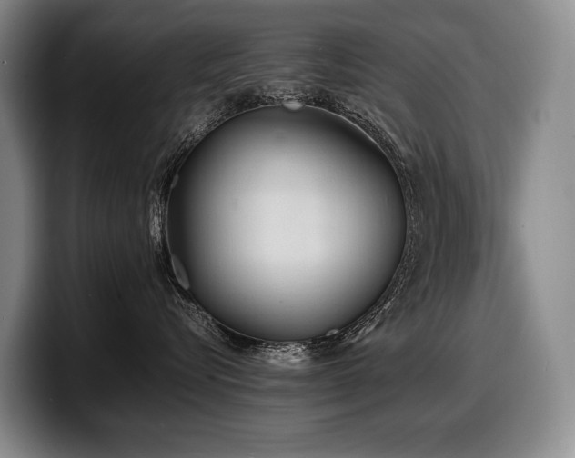 X0000100310576200806051459