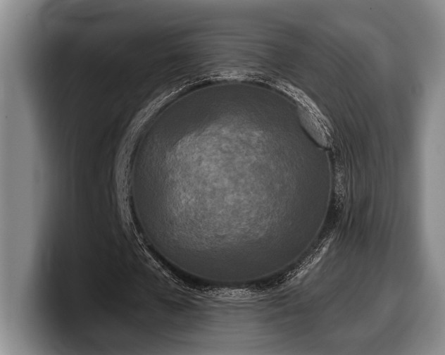 X0000100310577200806051458