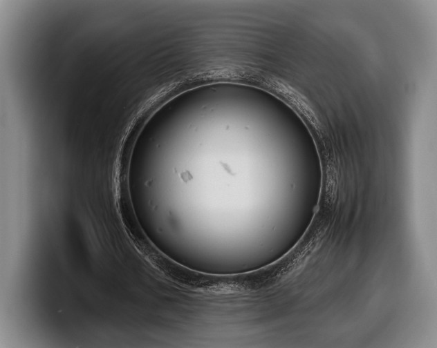 X0000100310578200806051458
