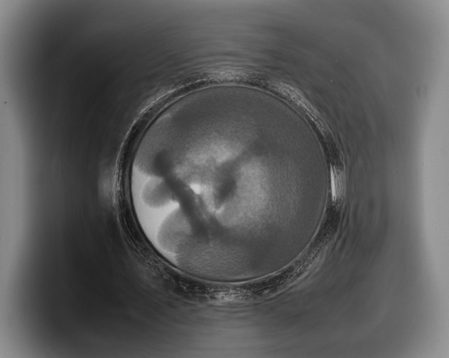 X0000100310579200806051458