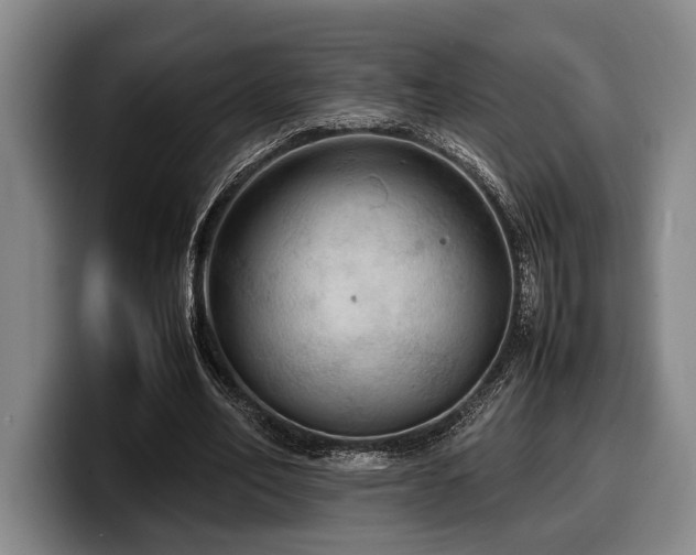 X0000100310582200806051458